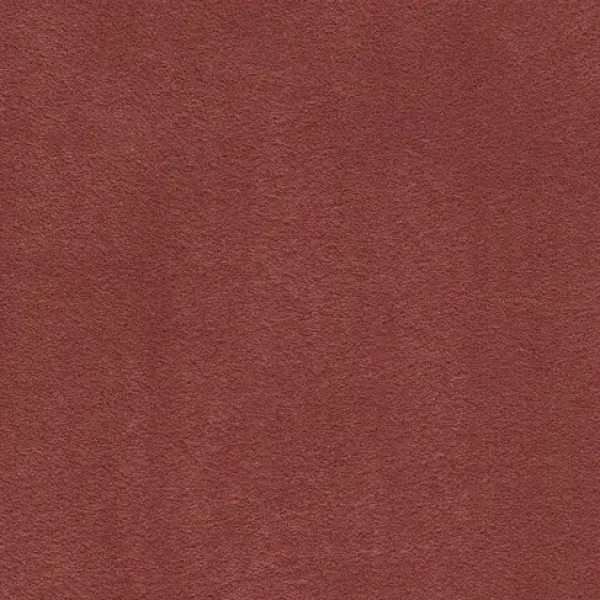 Draufsicht auf Vorwerk Mira 1N49